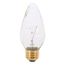 25 Watt F15 Incandescent Bulb - Clear - 1500 Average rated hours - 180 Lumens - Medium base - 120 Volt (10 Pack)
