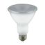 8 Watt - PAR30LN LED Bulb - Amber color - 40 deg. Beam Angle - Medium base - 120 Volt - Turtle Friendly (1 Pack)