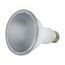 8 Watt - PAR30LN LED Bulb - Amber color - 40 deg. Beam Angle - Medium base - 120 Volt - Turtle Friendly (1 Pack)