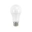9.5 Watt - A19 LED Bulb - Frosted - 4000K - Medium base - 220 deg. Beam Angle - 120 Volt - Non-Dimmable (16 Pack)