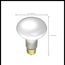 30 Watt R20 Incandescent Bulb - Frost - 2000 Average rated hours - 185 Lumens - Medium base - 120 Volt (20 Pack)