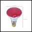 75 Watt BR30 Incandescent Bulb - Red - 2000 Average rated hours - Medium base - 130 Volt (8 Pack)