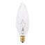 25 Watt B10 Incandescent Bulb - Clear - 1000 Average rated hours - 200 Lumens - Candelabra base - 220 Volt (30 Pack)