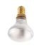 40 Watt R14 Incandescent Bulb - Frost - 1500 Average rated hours - 280 Lumens - European base - 130 Volt (16 Pack)