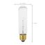 25 Watt T10 Incandescent Bulb - Clear - 2000 Average rated hours - 200 Lumens - Medium base - 120 Volt (30 Pack)