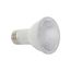 6.5 Watt - PAR20 LED Bulb - Amber color - 40 deg. Beam Angle - Medium base - 120 Volt - Turtle Friendly (1 Pack)