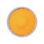 6.5 Watt - PAR20 LED Bulb - Amber color - 40 deg. Beam Angle - Medium base - 120 Volt - Turtle Friendly (1 Pack)