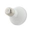 6.5 Watt - PAR20 LED Bulb - Amber color - 40 deg. Beam Angle - Medium base - 120 Volt - Turtle Friendly (1 Pack)