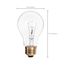 25 Watt A19 Incandescent Bulb - Clear - 2500 Average rated hours - 170 Lumens - Medium base - 130 Volt (50 Pack)