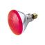 100 Watt BR38 Incandescent Bulb - Red - 2000 Average rated hours - Medium base - 120 Volt (6 Pack)