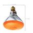 100 Watt BR38 Incandescent Bulb - Amber - 2000 Average rated hours - Medium base - 120 Volt (6 Pack)