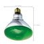 100 Watt BR38 Incandescent Bulb - Green - 2000 Average rated hours - Medium base - 120 Volt (6 Pack)