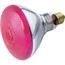 100 Watt BR38 Incandescent Bulb - Pink - 2000 Average rated hours - Medium base - 120 Volt (6 Pack)