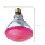 100 Watt BR38 Incandescent Bulb - Pink - 2000 Average rated hours - Medium base - 120 Volt (6 Pack)