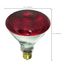 175 Watt BR38 Incandescent Bulb - Red Heat - 5000 Average rated hours - Medium base - 120 Volt (4 Pack)