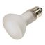 50 Watt R20 Incandescent Bulb - Frost - 2000 Average rated hours - 300 Lumens - Medium base - 120 Volt - Shatter Proof (5 Pack)