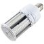 22 Watt LED HID Replacement Bulb - 80 CRI - 2700K - Type B - Ballast Bypass - Medium base - Economy Hi-Pro (1 Pack)