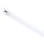 11W, 4' T8 LED, G13 Base, 4000K, Type A (25 Pack)