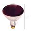 250 Watt R40 Incandescent Bulb - Red Heat - 6000 Average rated hours - Medium base - 120 Volt (12 Pack)