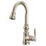 Weymouth Polished Nickel 1 Handle Pulldown Bar Faucet, S53004NL