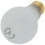 100 Watt A19 Incandescent Bulb - Frost - 2000 Average rated hours - 1200 Lumens - Med Left Hand Thread LHT base - 120 Volt (30 Pack)