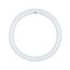 32 Watt - T9 - Circline Fluorescent Bulb 6500K Daylight - 76 CRI - 4-Pin base (8 Pack)