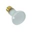 100 Watt R20 Incandescent Bulb - Frost - 2000 Average rated hours - 1000 Lumens - Medium base - 12 Volt (5 Pack)