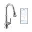 Paterson Motion Control Smart One-handle High Arc Pulldown Kitchen Faucet (Chrome), S72003EV2C