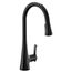 Sinema Motion Control Smart 1 Handle High Arc Pulldown Kitchen Faucet (Matte Black), S7235EV2BL