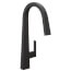 Nio Single Handle High Arc Pulldown Kitchen Faucet (Matte Black), S75005BL