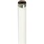32 Watt - T8 - Fluorescent Bulb 4100K Cool White - Medium Bi Pin base - TF Shatter Proof (4 Pack)