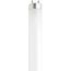 13 Watt - 12 Inch Fluorescent T8 Bulb - 4100K - Cool White - Medium Bi Pin base (4 Pack)