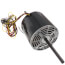 CW Motor (230V, 1075 RPM, 1/2 HP), S8106-046