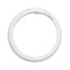 22 Watt - T5 - Circline Fluorescent Bulb 4100K Warm White - 82 CRI - 4-Pin base G10Q (2 Pack)