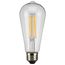 7 Watt ST19 LED Bulb - Clear - Medium base - 2700K - 800 Lumens - 120 Volt