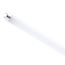 14 Watt - 4 Foot LED T8 Bulb - Medium Bi Pin base - 4000K - 50000 Average rated hours - 2200 Lumens - Type A - Ballast dependent (25 Pack)