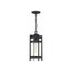 Tofino 1 Light Hanging Lantern Textured Black Finish w/ Clear Glass