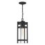 Tofino 1 Light Hanging Lantern Textured Black Finish w/ Clear Glass
