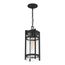 Tofino 1 Light Hanging Lantern Textured Black Finish w/ Clear Glass