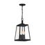 Halifax 4 Light Hanging Lantern Matte Black Finish w/ Clear Glass