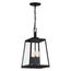 Halifax 4 Light Hanging Lantern Matte Black Finish w/ Clear Glass