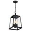 Halifax 4 Light Hanging Lantern Matte Black Finish w/ Clear Glass