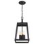 Halifax 4 Light Hanging Lantern Matte Black Finish w/ Clear Glass