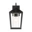 Hopewell 1 Light Medium Lantern Matte Black Finish w/ Clear Seeded Glass