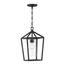Hopewell 1 Light Hanging Lantern Matte Black Finish w/ Clear Seeded Glass