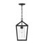 Hopewell 1 Light Hanging Lantern Matte Black Finish w/ Clear Seeded Glass