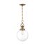 Skyloft 1 Light Pendant Fixture Burnished Brass Finish w/ Clear Glass