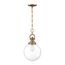 Skyloft 1 Light Pendant Fixture Burnished Brass Finish w/ Clear Glass