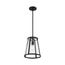 Bruge 1 Light Pendant Fixture Matte Black Finish w/ Clear Glass
