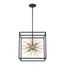 Spirefly 6 Light Pendant Fixture Matte Black and Burnished Brass Finish
